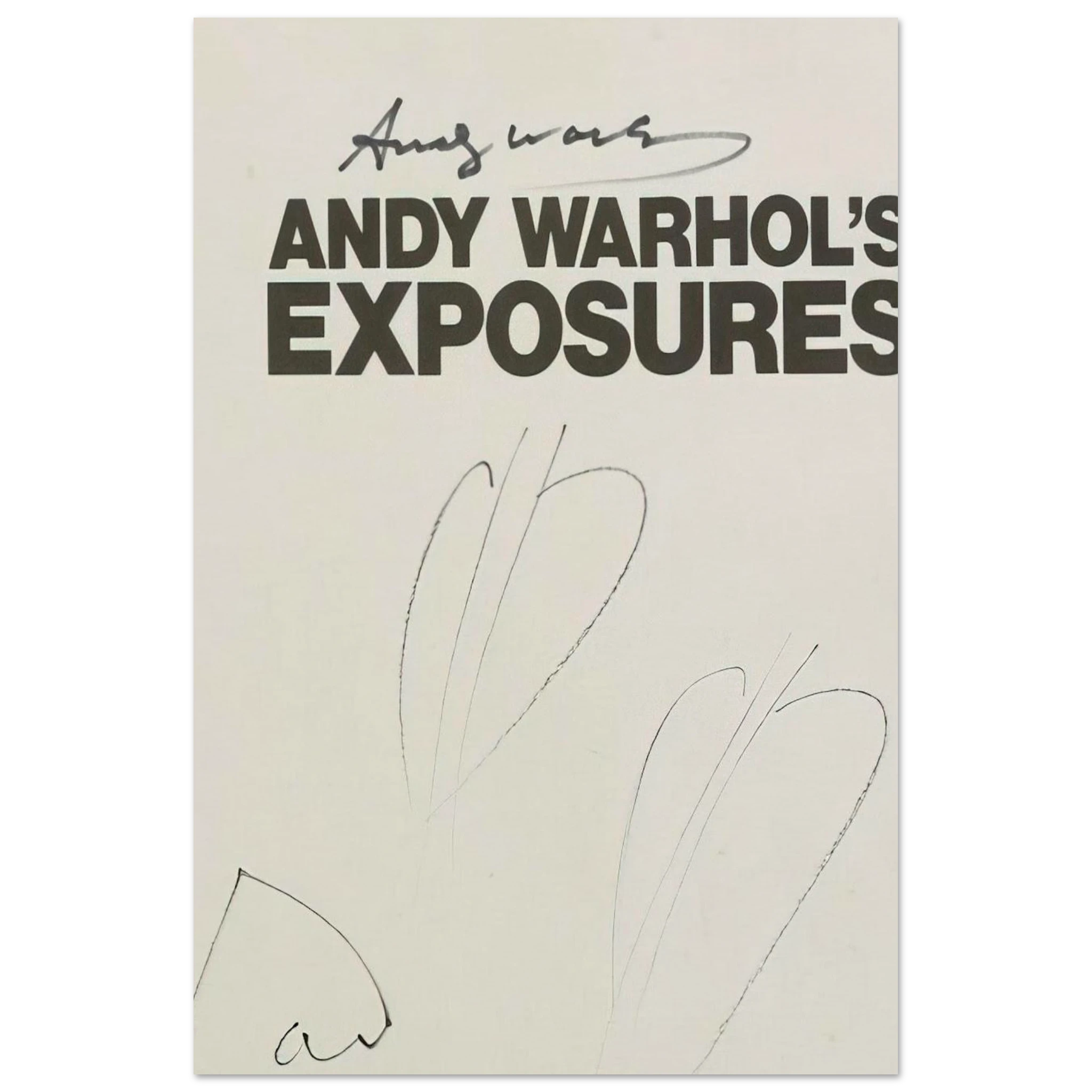 Butterfly Hearths  Andy Warhol's Exposures  Poster | Andy Warhol Poster | Andy Warhol Prints
