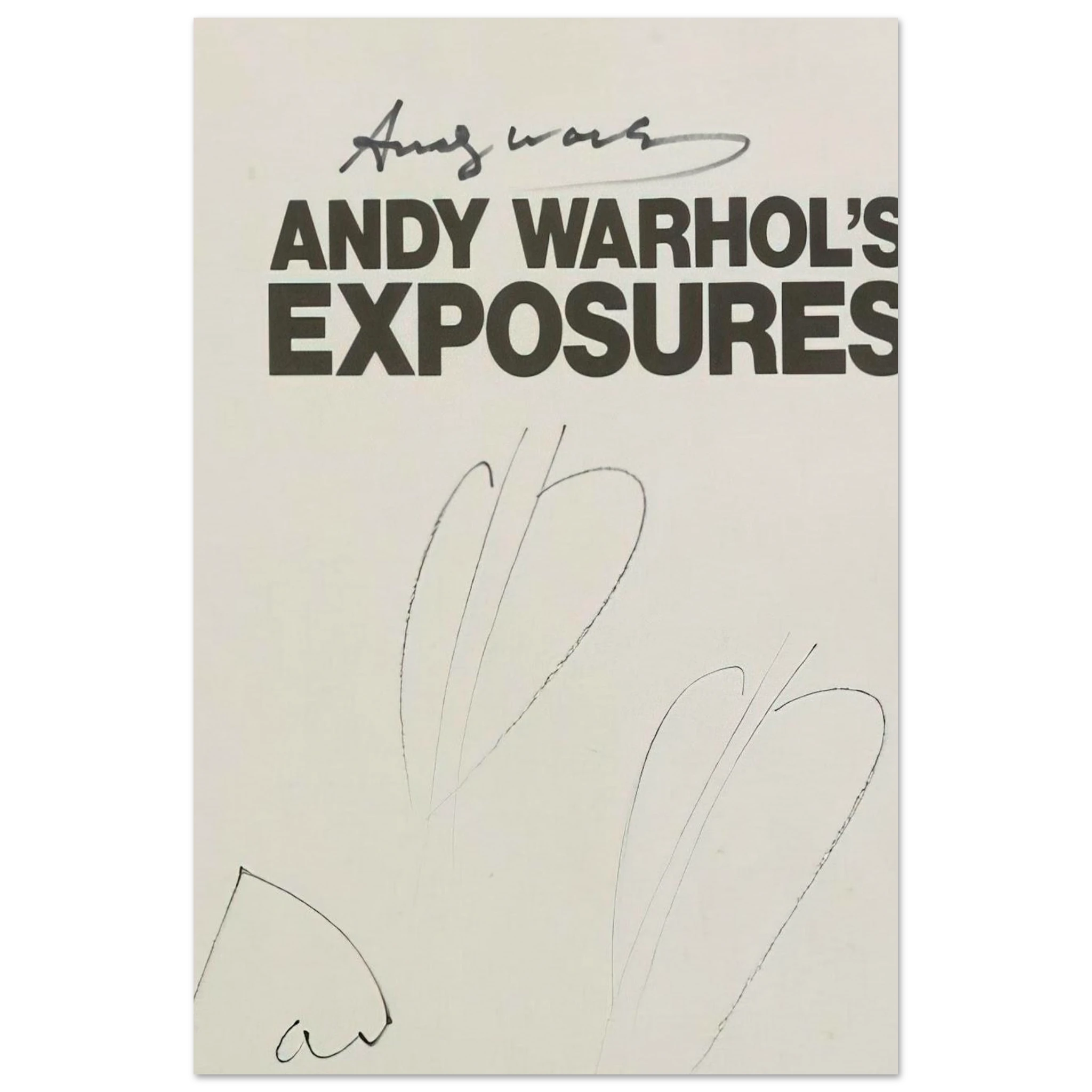 Butterfly Hearths  Andy Warhol's Exposures  Poster | Andy Warhol Poster | Andy Warhol Prints