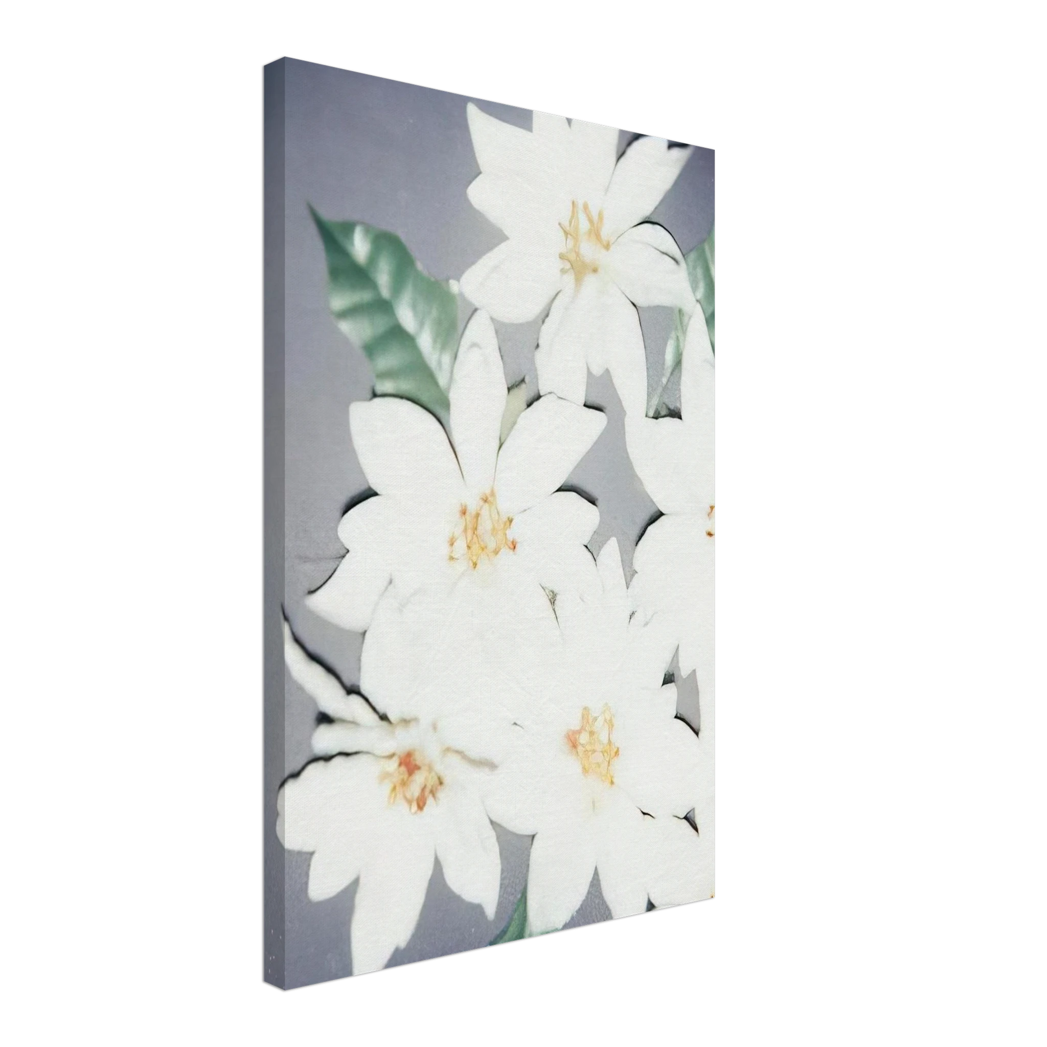 Christmas Poinsettias-White Canvas | Andy Warhol Canvas | Andy Warhol Prints