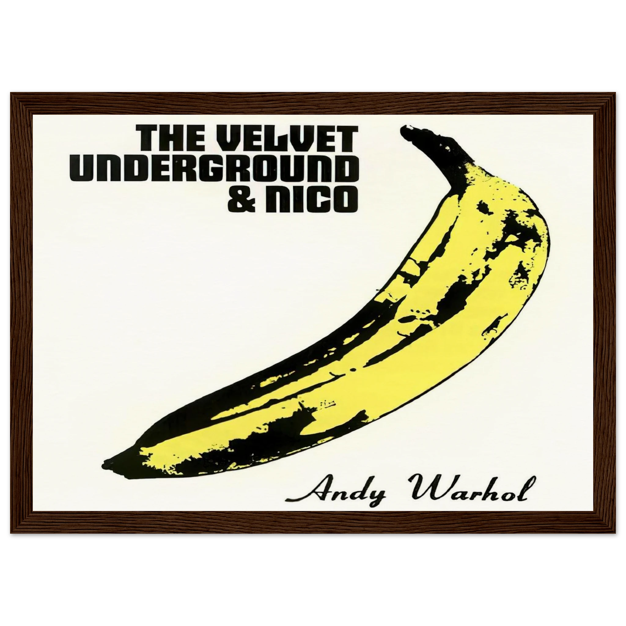 Velvet Underground & Nico Framed Poster | Andy Warhol Framed Prints Wall Art | Andy Warhol Prints