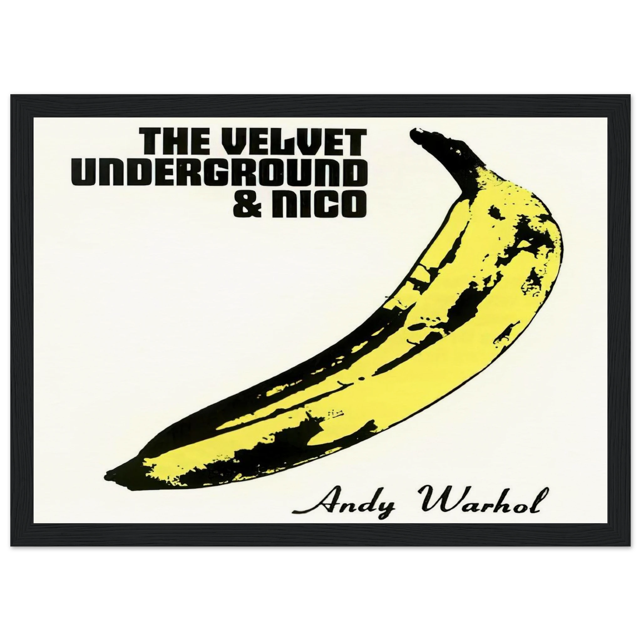 Velvet Underground & Nico Framed Poster | Andy Warhol Framed Prints Wall Art | Andy Warhol Prints