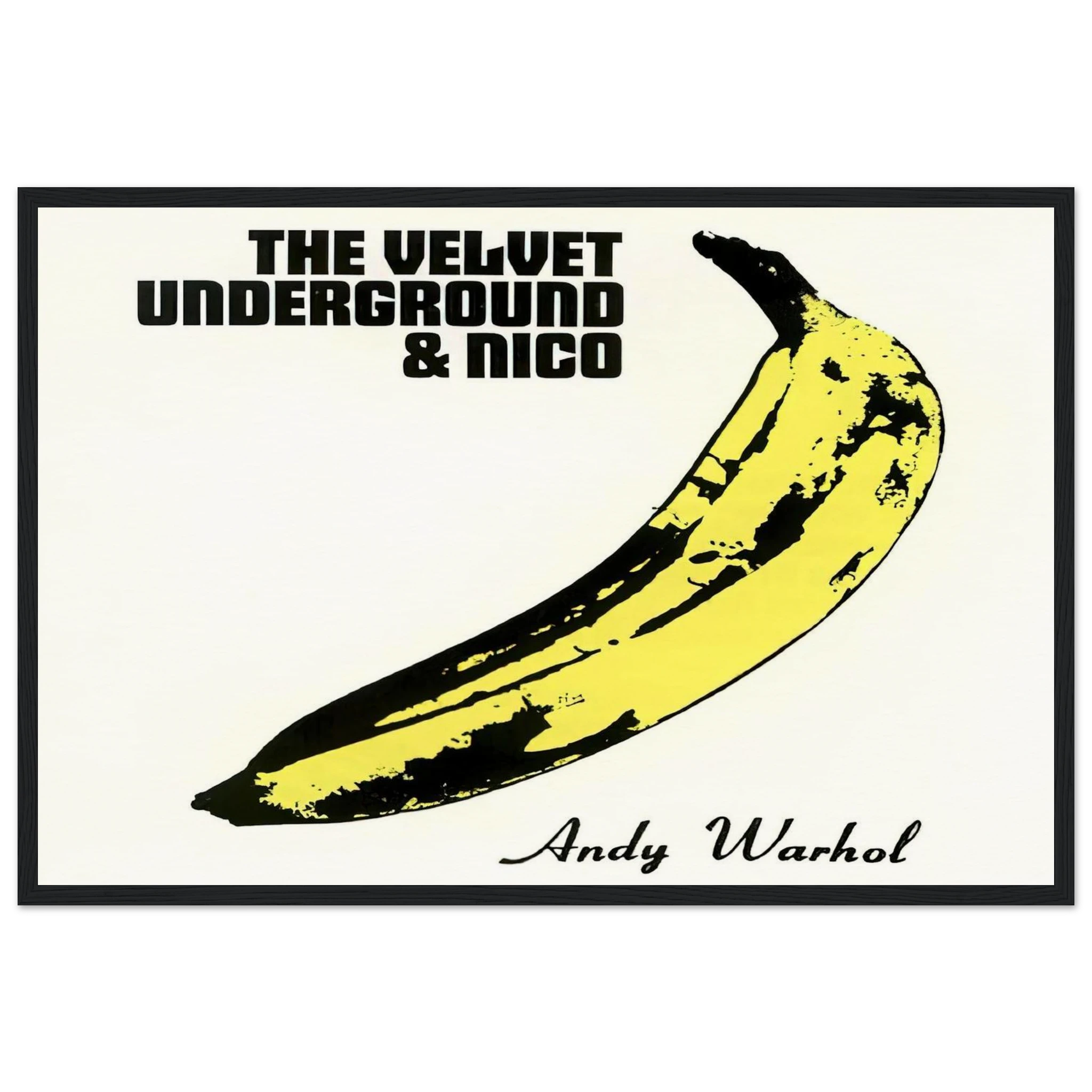 Velvet Underground & Nico Framed Poster | Andy Warhol Framed Prints Wall Art | Andy Warhol Prints